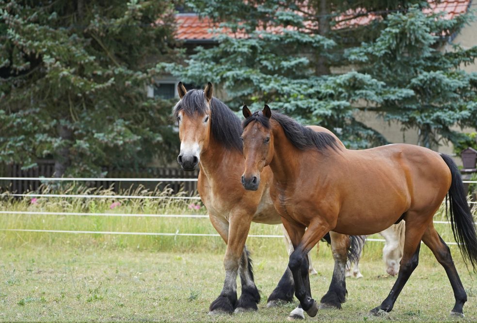 Verletzungen, Urlaub