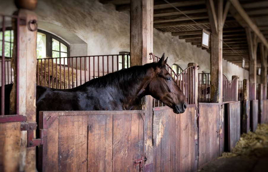Unterfordert, Gummimatten