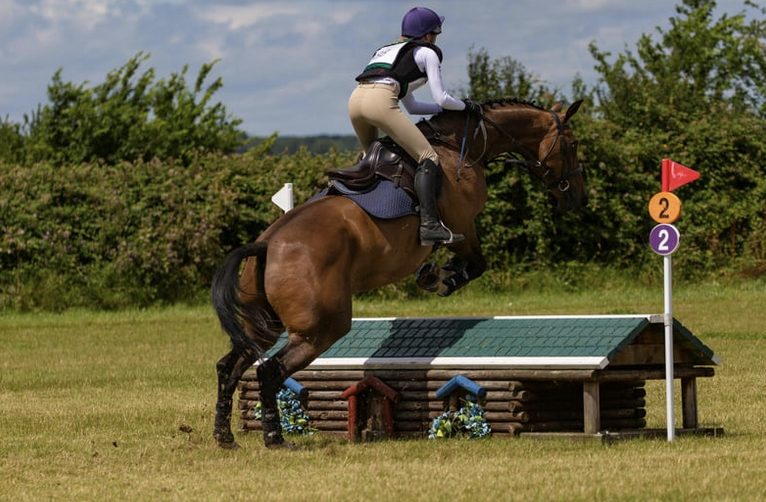 Bodenarbeit, Ausrüstung für Reiter