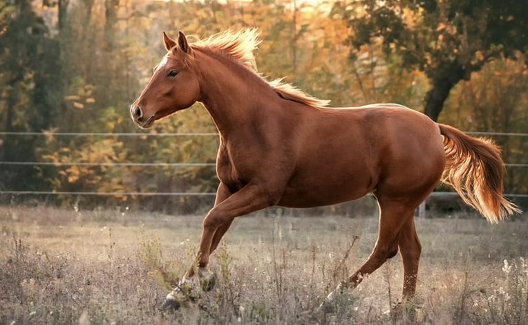 Muskelverspannungen, Hitze, Überhitzung