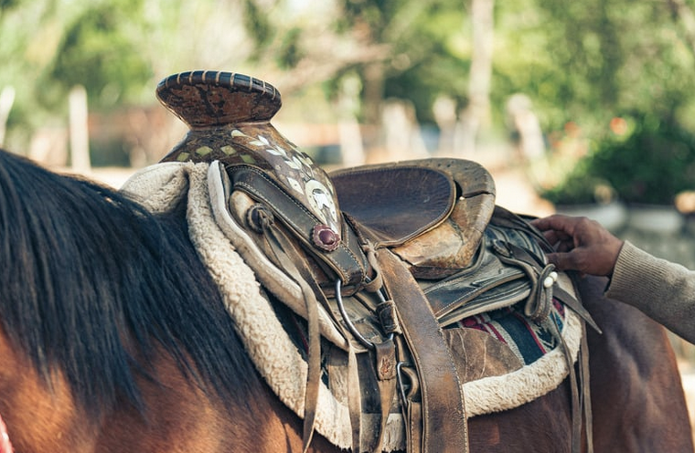 Leder, Zaumzeug, Material, Sattelzubehör