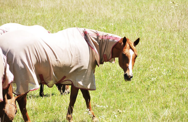 Rehabilitation, Gewicht