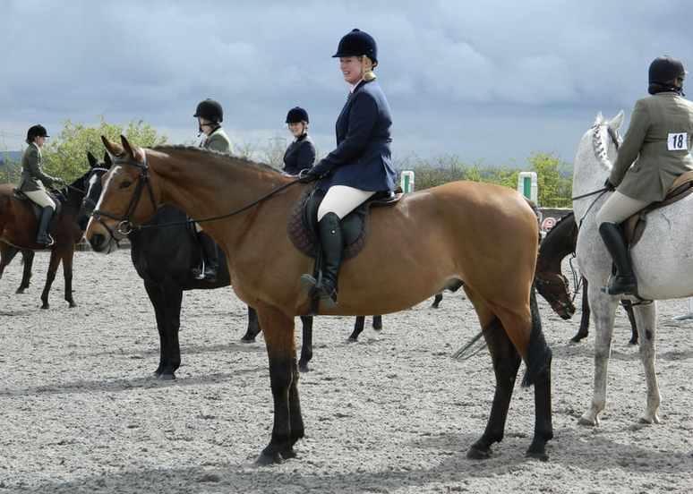 Trainingsaufbau, Kommunikation, Wettkampf