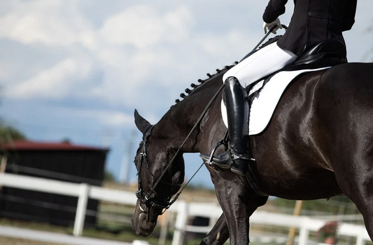 Erfolgsstrategie, Dressur