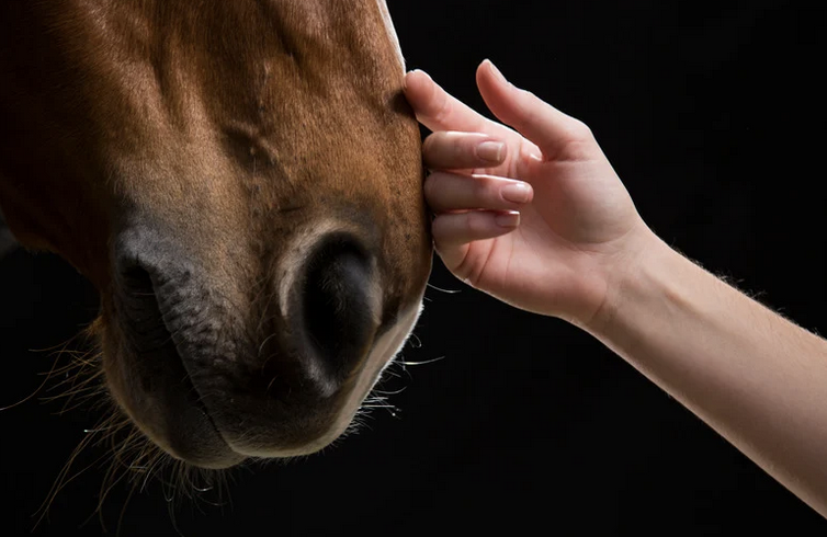 Homöopathie, Parasiten