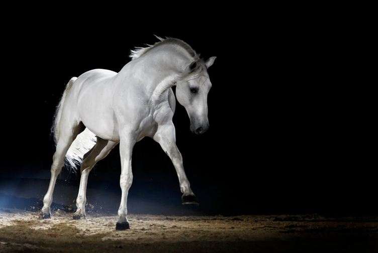 Rückenschmerzen, Arthrose