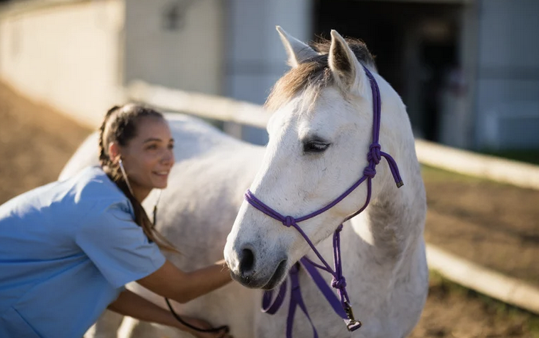 schmerzen, Hautprobleme